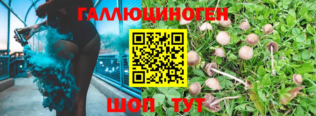 Кубинка  Псилоцибиновые грибы мицелий  Вход с VPN 